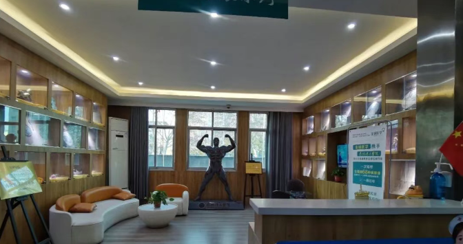 寻找“生命的种子”：南阳清大专家团队深度解析：为什么男性不育需要“数据化精准促育”？