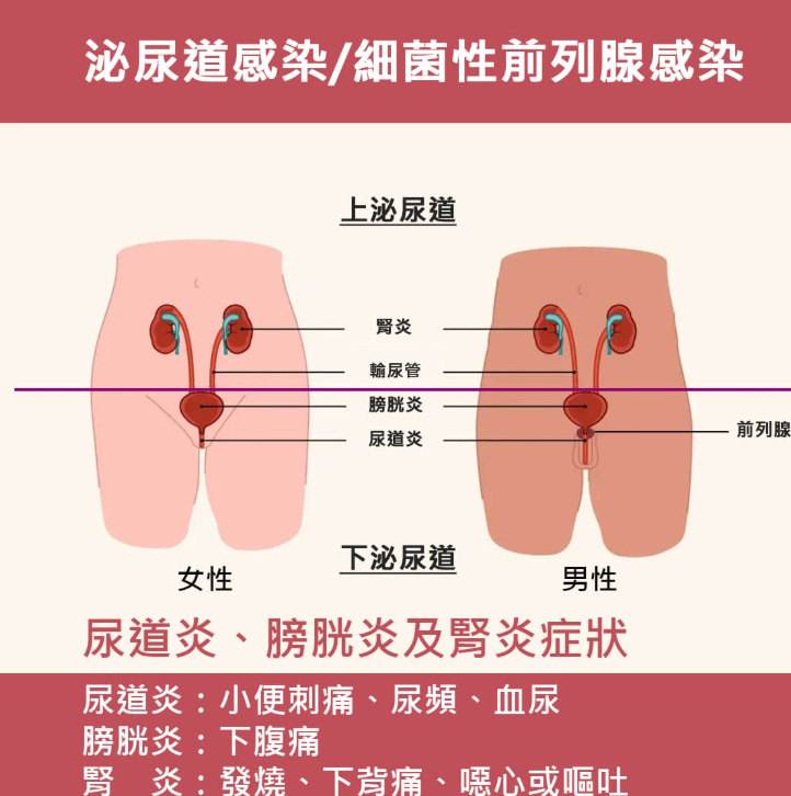 性病治好了，为什么时间还是短？