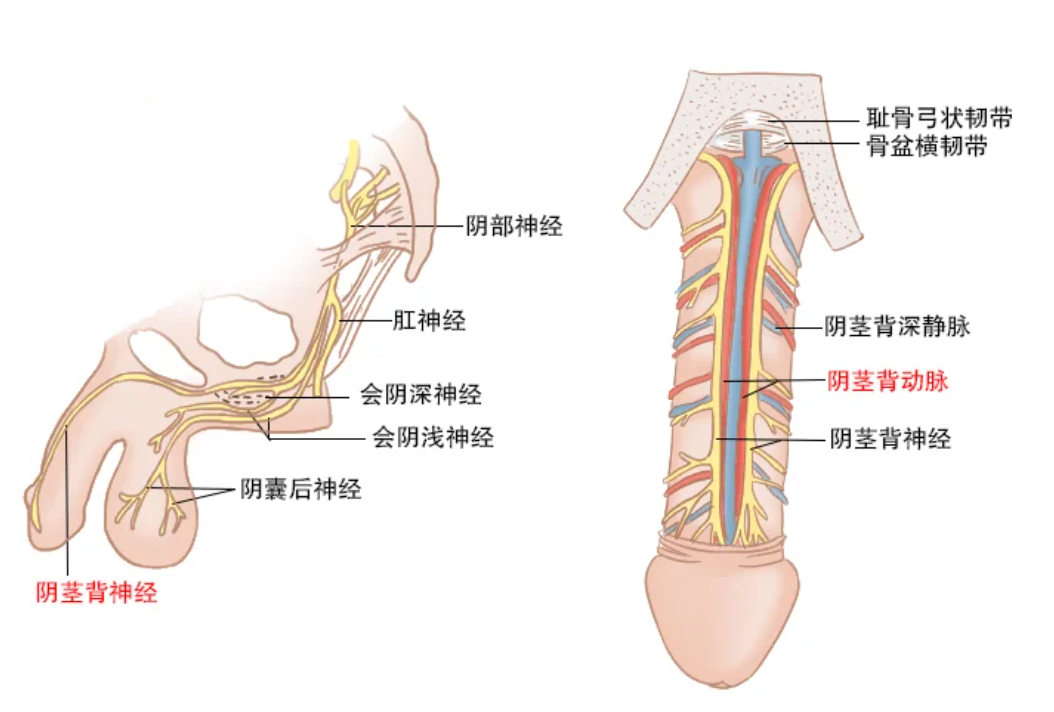手淫频繁，到底会不会伤身体？