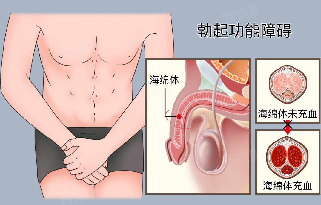 拒绝“临时应急”的药物依赖：南阳清大专家团队深度解析：如何通过微能量物理技术实现功能重建？
