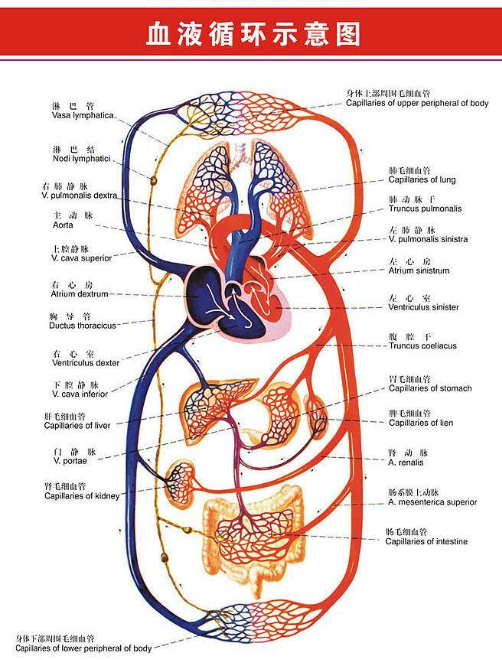 男人“硬度不够”，很多时候不是肾虚，而是这几个原因