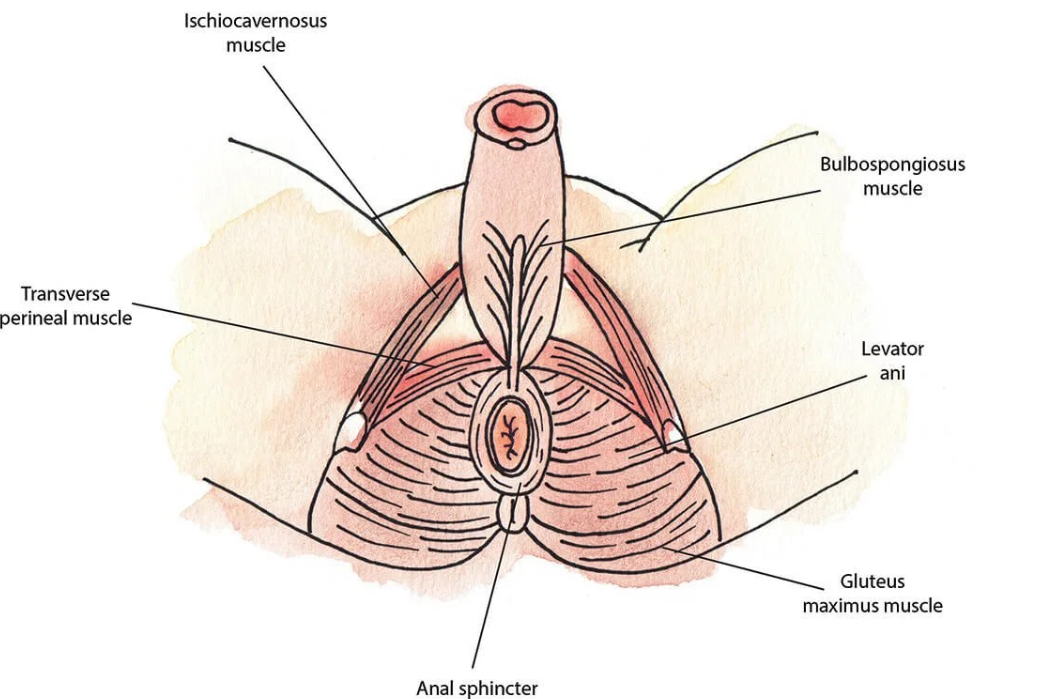男人“时间太短”真的是早泄吗？很多人其实误会了
