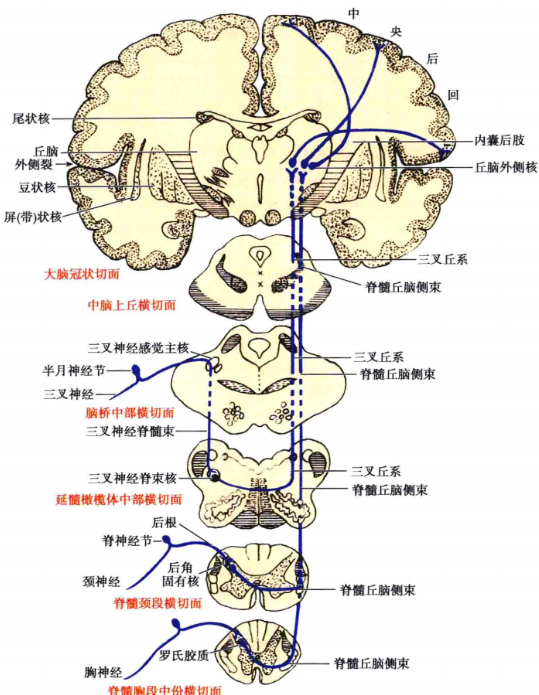 为什么很多男人“有欲望却硬不起来”？医生：问题可能不在生殖器