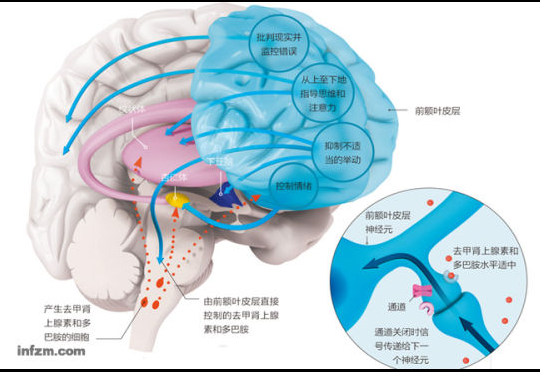 为什么很多年轻男性开始出现早泄？医生：这三个习惯正在悄悄影响你