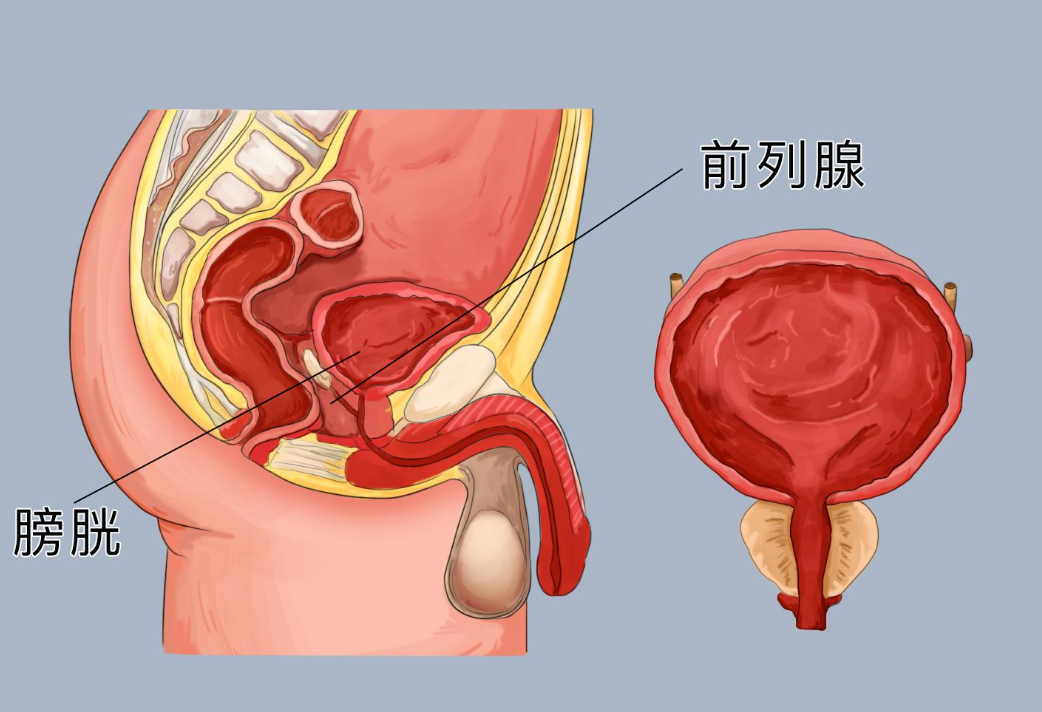 南阳前列腺炎反复发作怎么办？很多人忽略了这几个关键原因